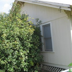 Exterior Remodeling Spicewood, Texas